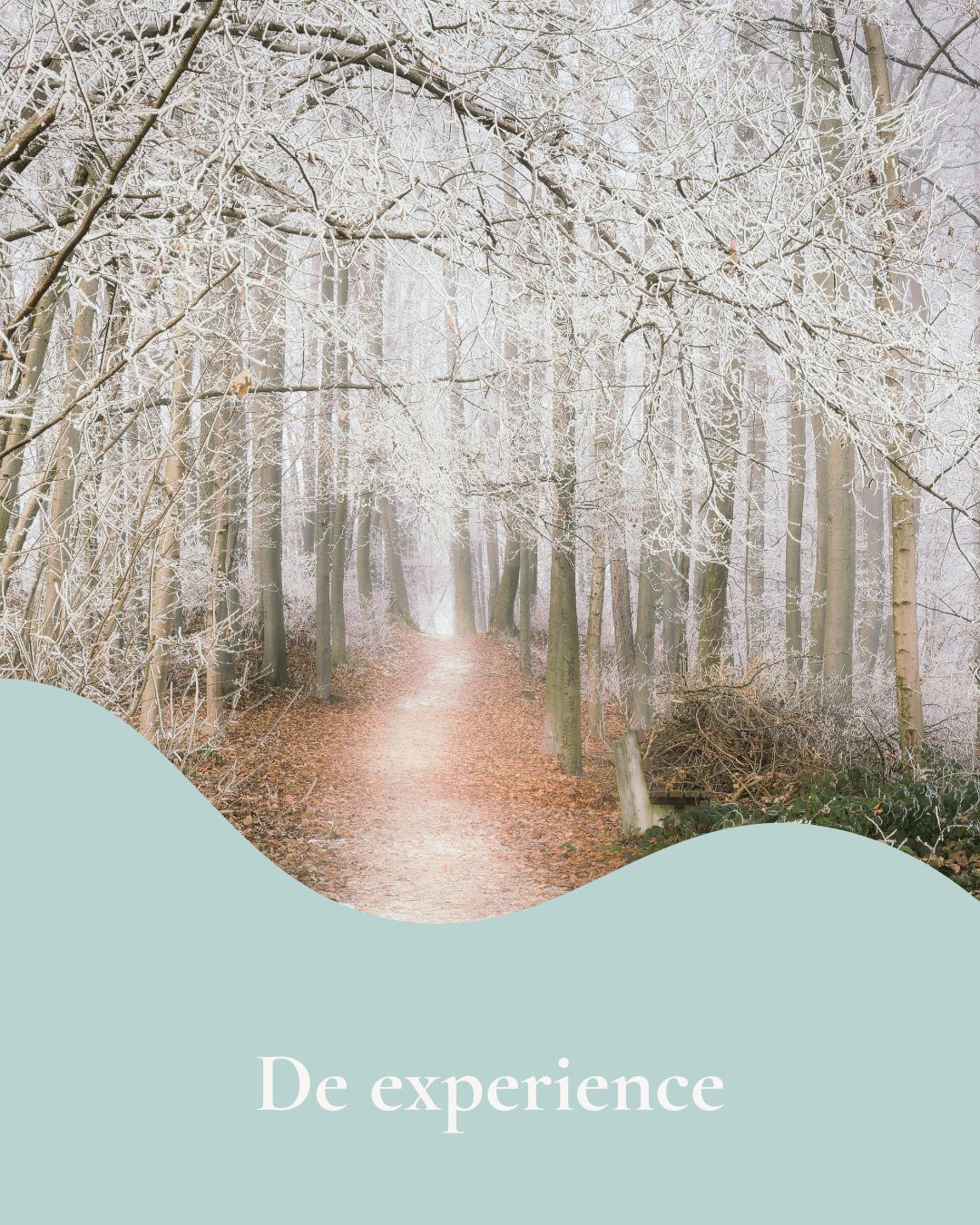 De Experience